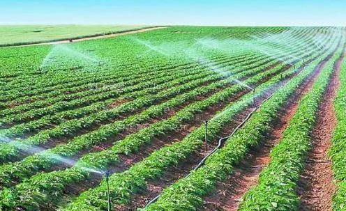 骚逼啊啊啊视频农田高 效节水灌溉